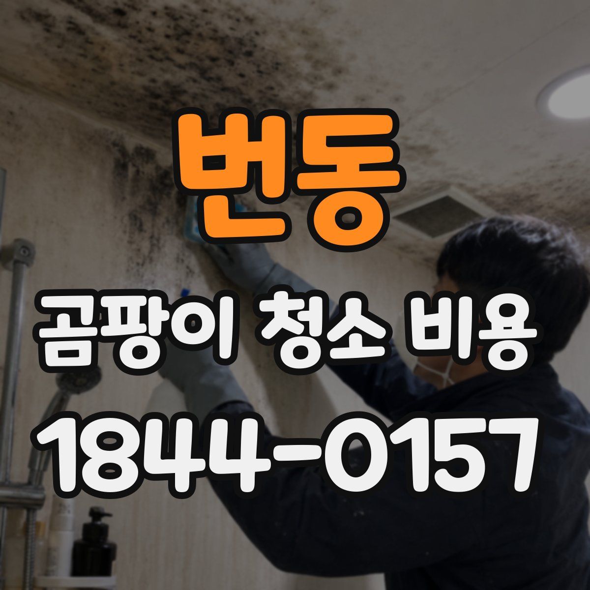 번동 곰팡이 청소 비용