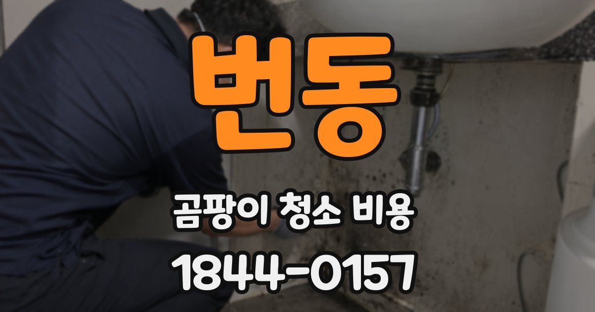 번동 곰팡이 청소 비용