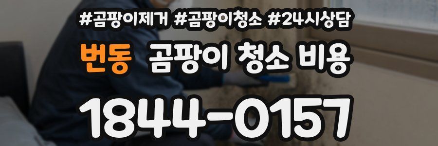 번동 곰팡이 청소 비용