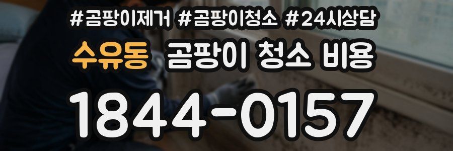 수유동 곰팡이 청소 비용