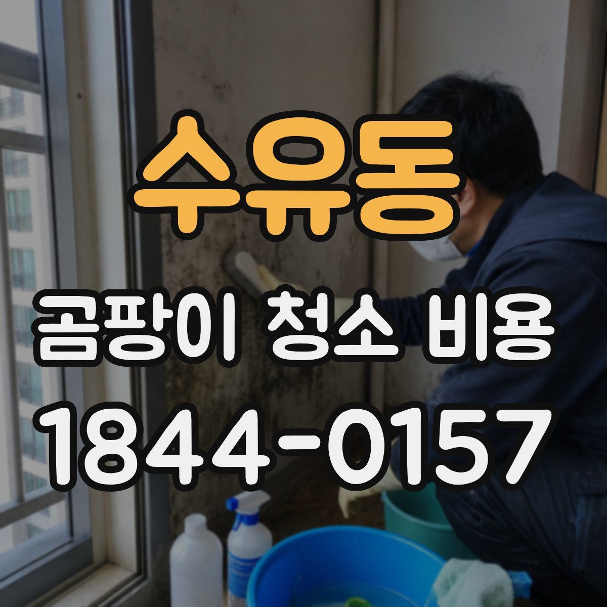 수유동 곰팡이 청소 비용