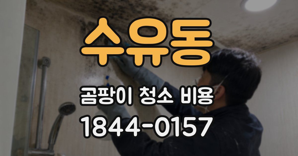 수유동 곰팡이 청소 비용