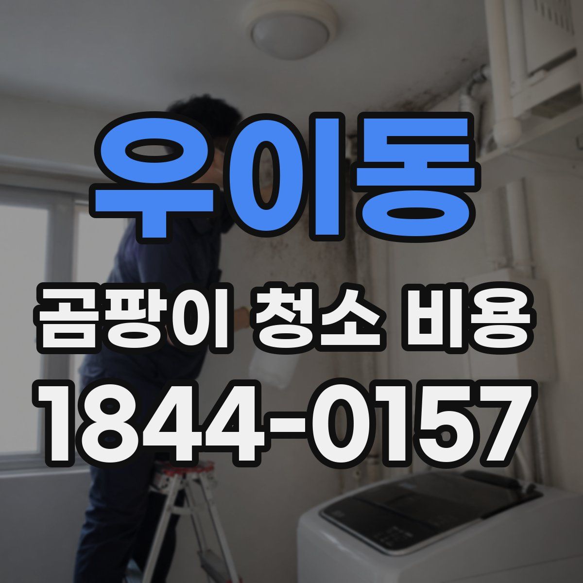 우이동 곰팡이 청소 비용