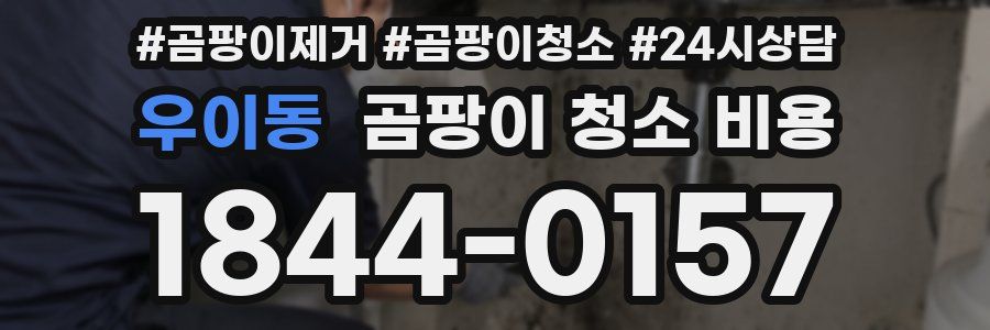 우이동 곰팡이 청소 비용