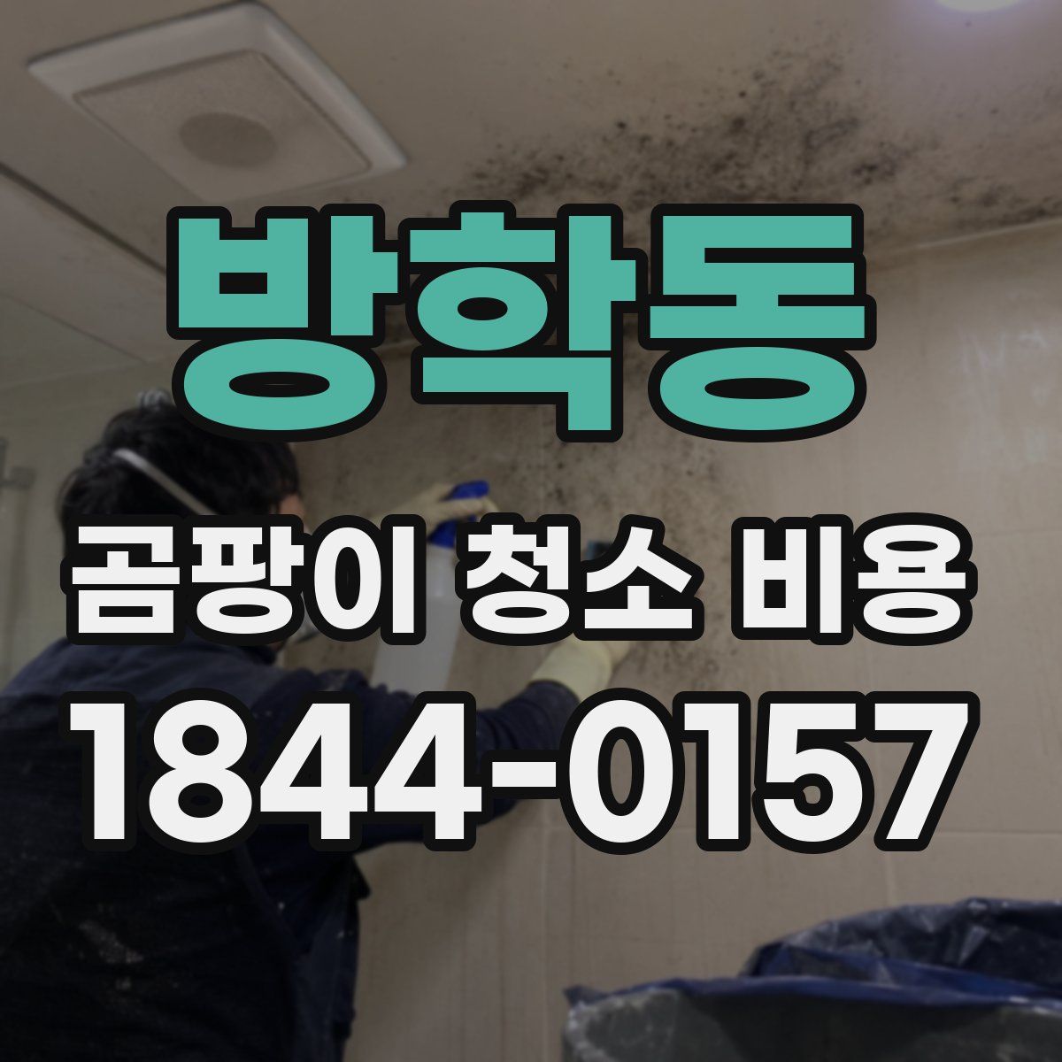 방학동 곰팡이 청소 비용