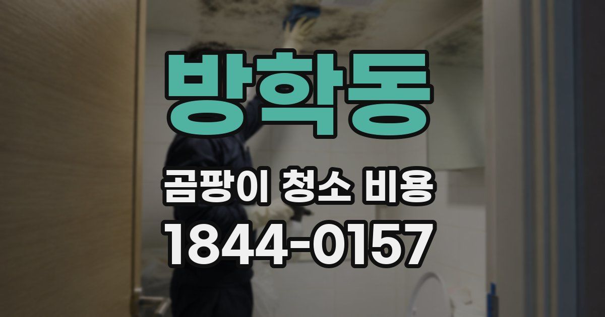 방학동 곰팡이 청소 비용