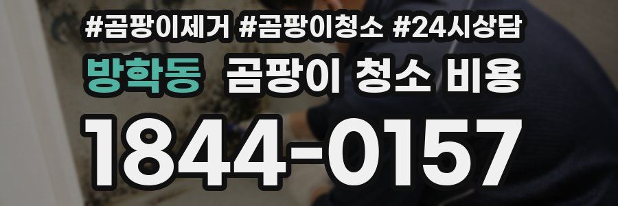 방학동 곰팡이 청소 비용
