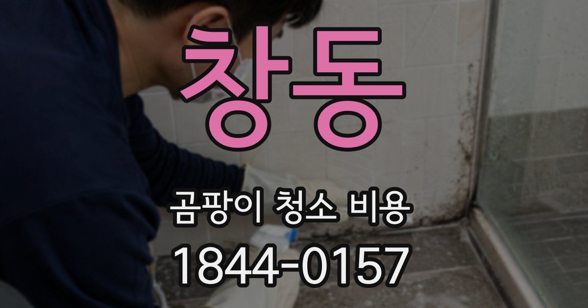 창동 곰팡이 청소 비용