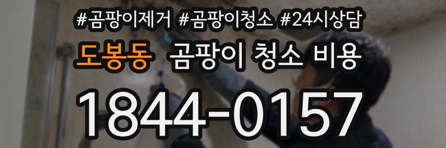 도봉동 곰팡이 청소 비용