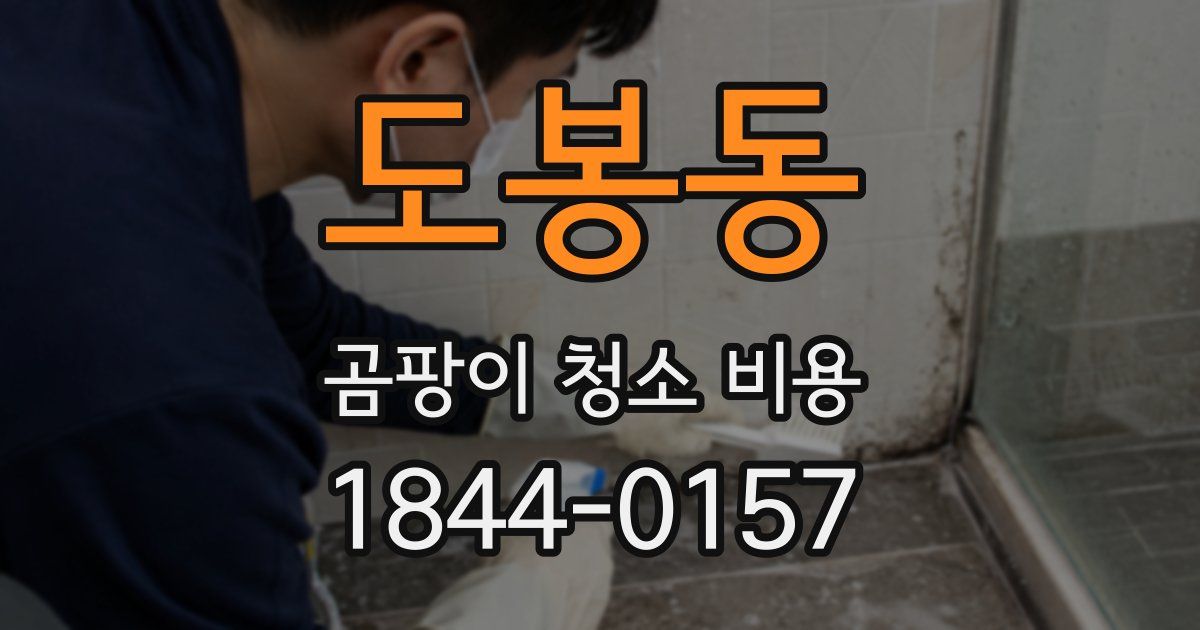 도봉동 곰팡이 청소 비용