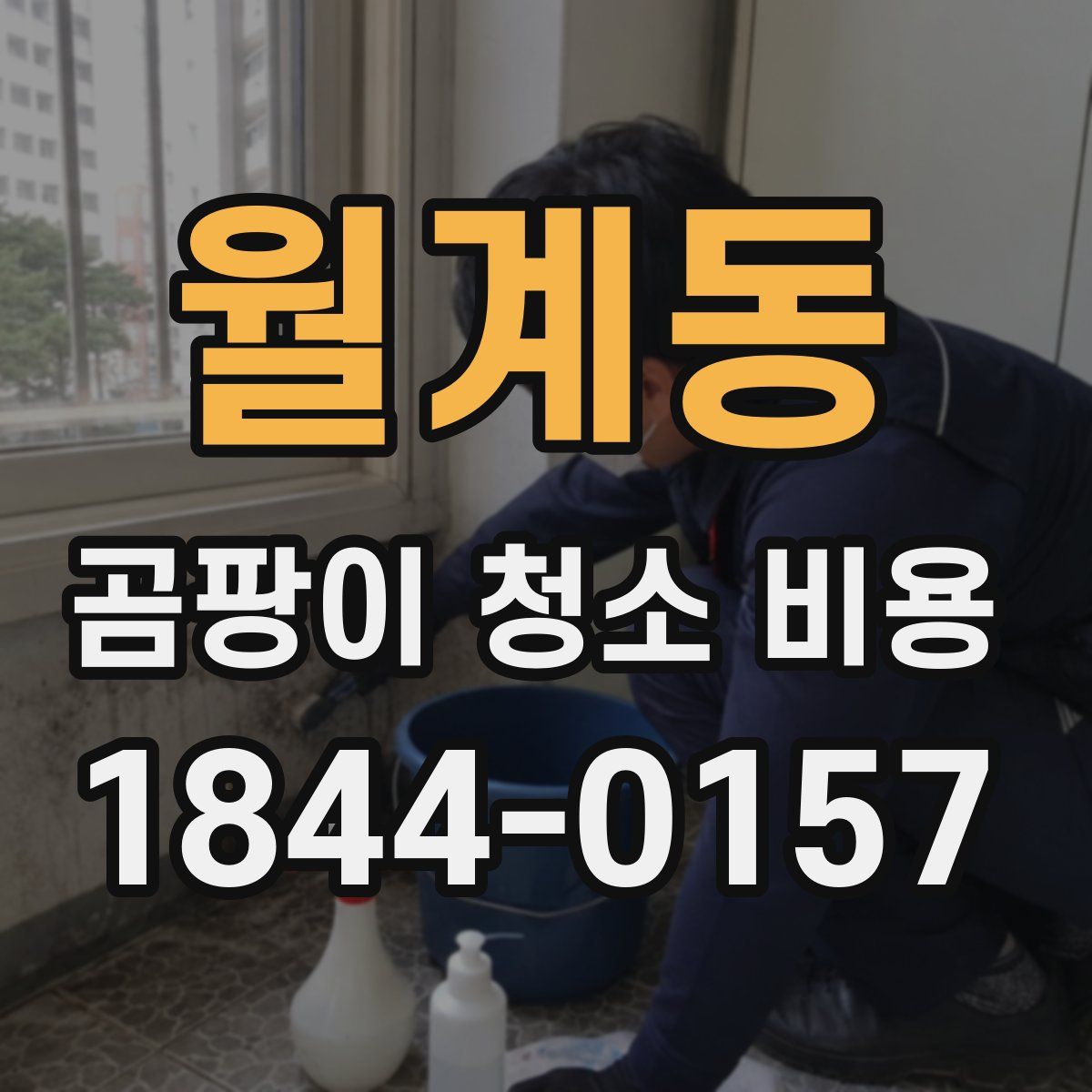 월계동 곰팡이 청소 비용