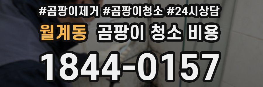 월계동 곰팡이 청소 비용