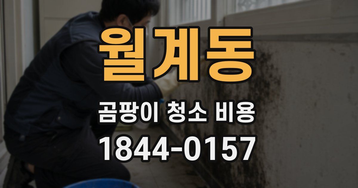 월계동 곰팡이 청소 비용