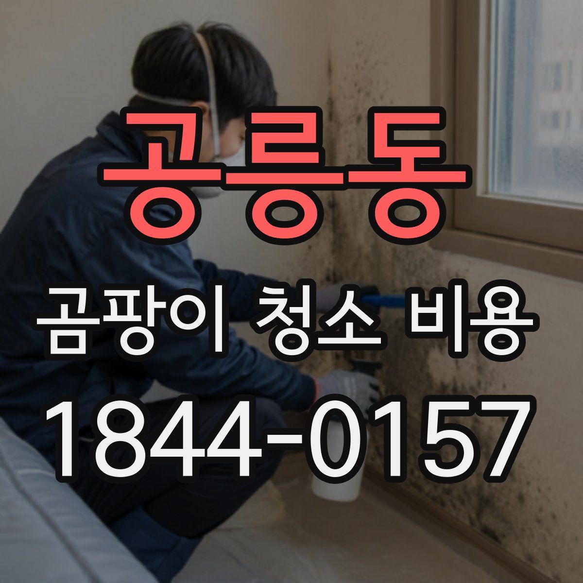 공릉동 곰팡이 청소 비용