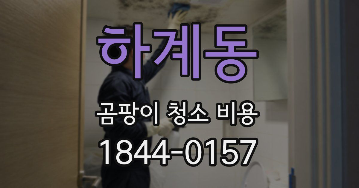 하계동 곰팡이 청소 비용