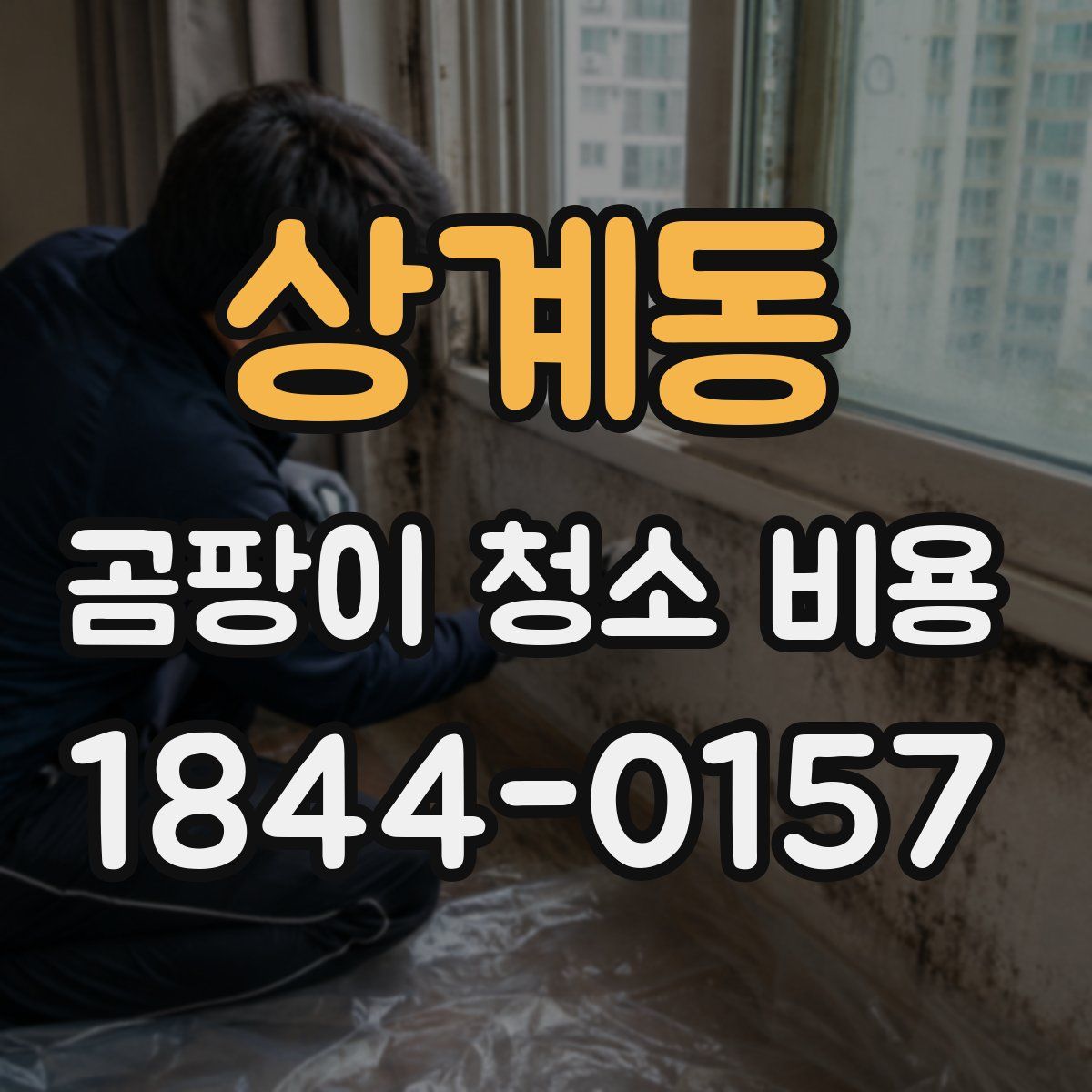 상계동 곰팡이 청소 비용
