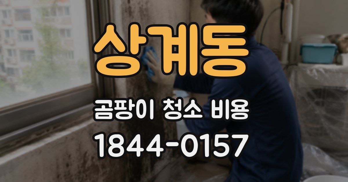 상계동 곰팡이 청소 비용