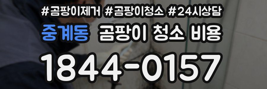 중계동 곰팡이 청소 비용