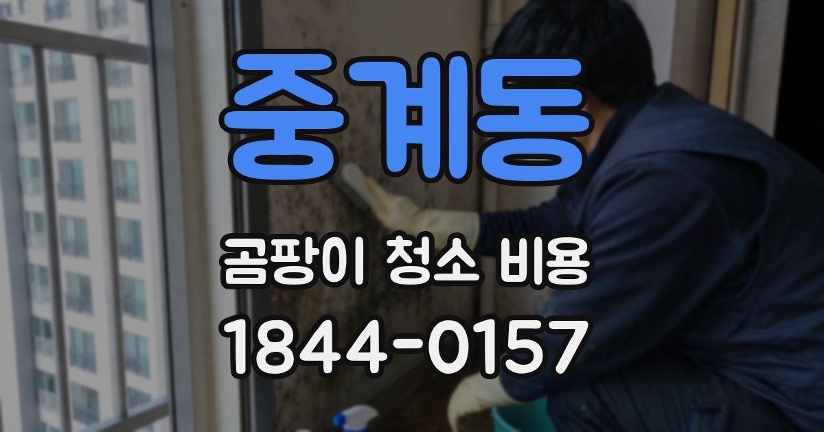 중계동 곰팡이 청소 비용