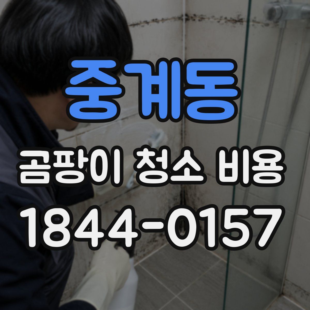 중계동 곰팡이 청소 비용