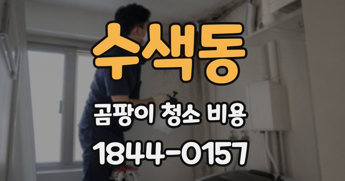 수색동 곰팡이 청소 비용