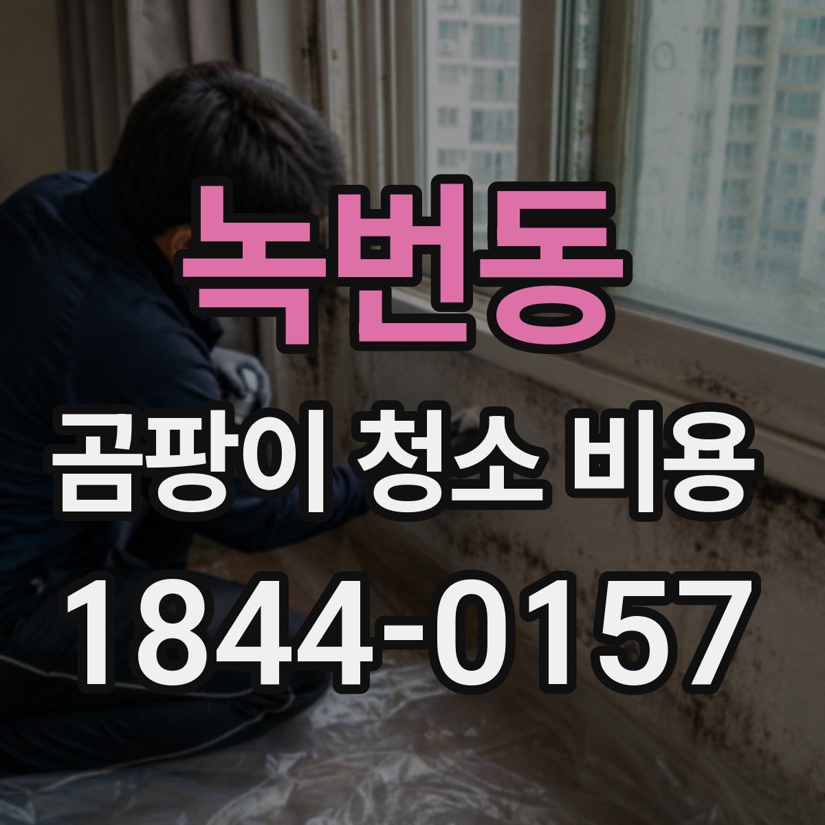 녹번동 곰팡이 청소 비용