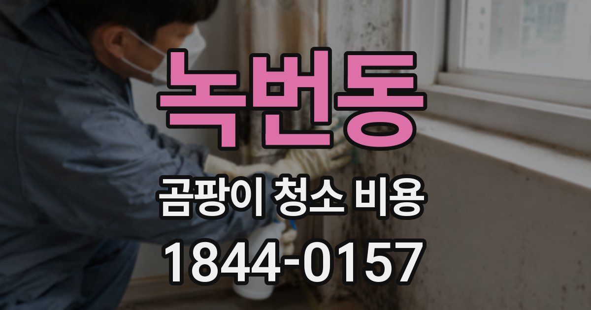 녹번동 곰팡이 청소 비용