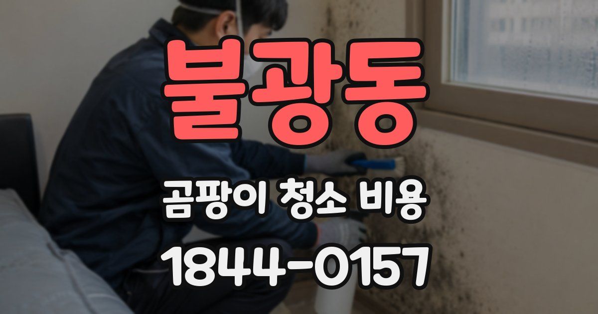 불광동 곰팡이 청소 비용
