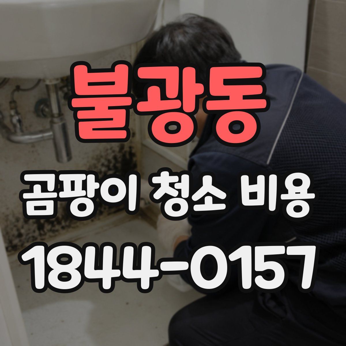 불광동 곰팡이 청소 비용