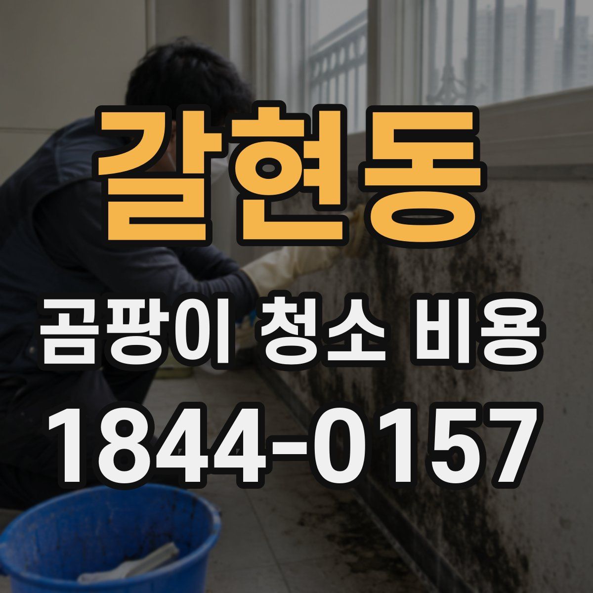 갈현동 곰팡이 청소 비용