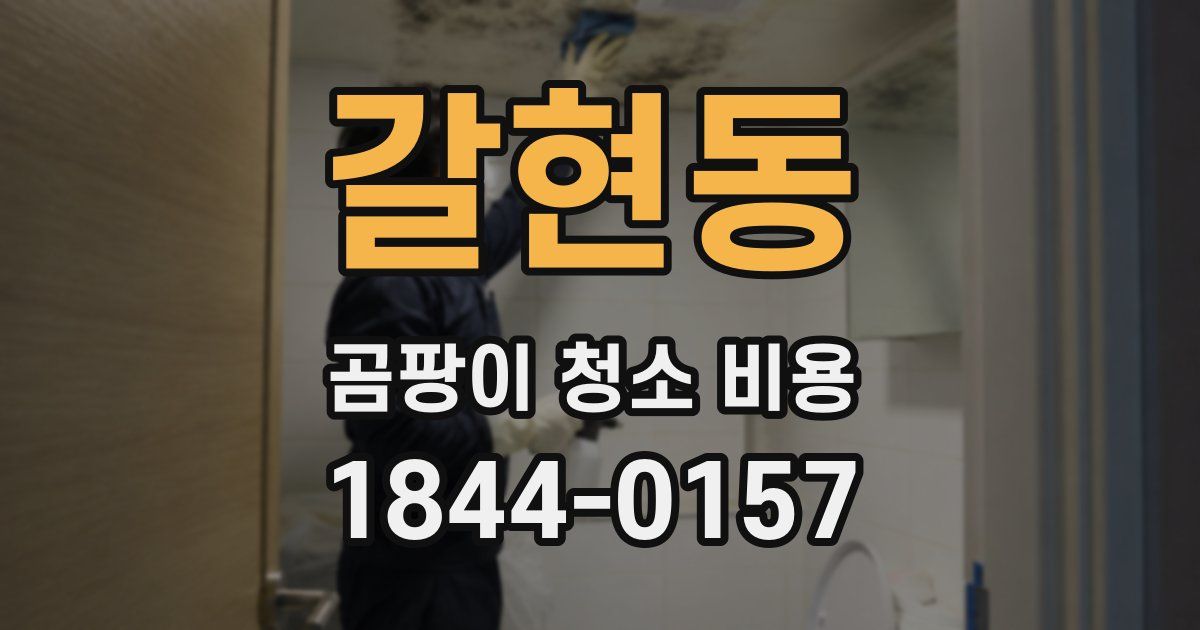 갈현동 곰팡이 청소 비용