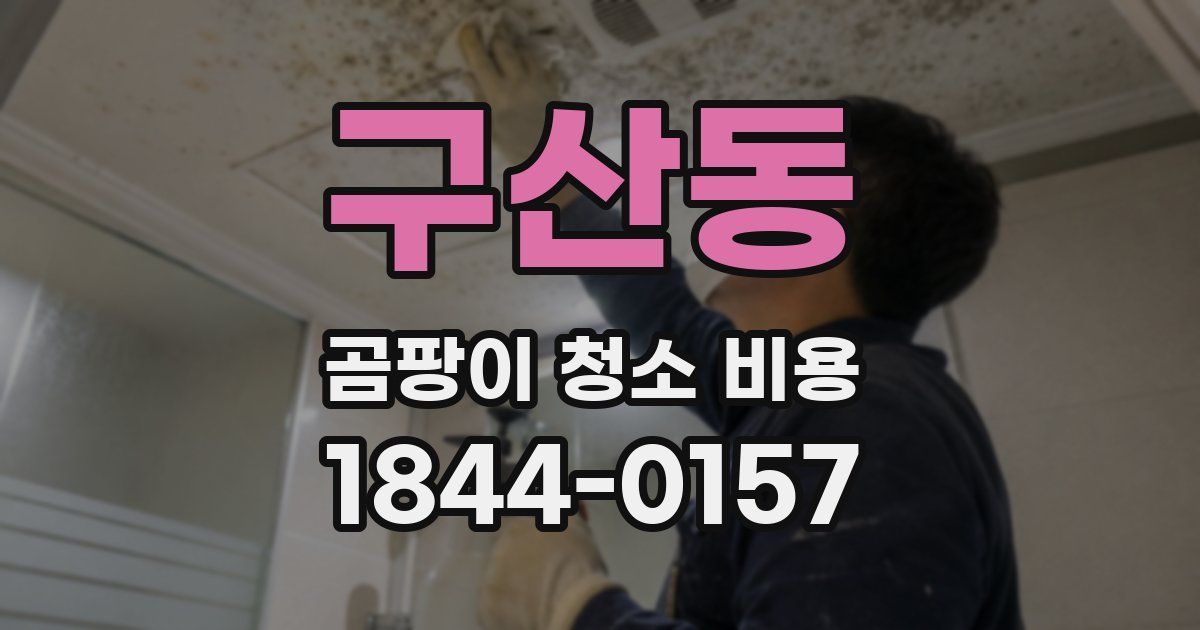 구산동 곰팡이 청소 비용
