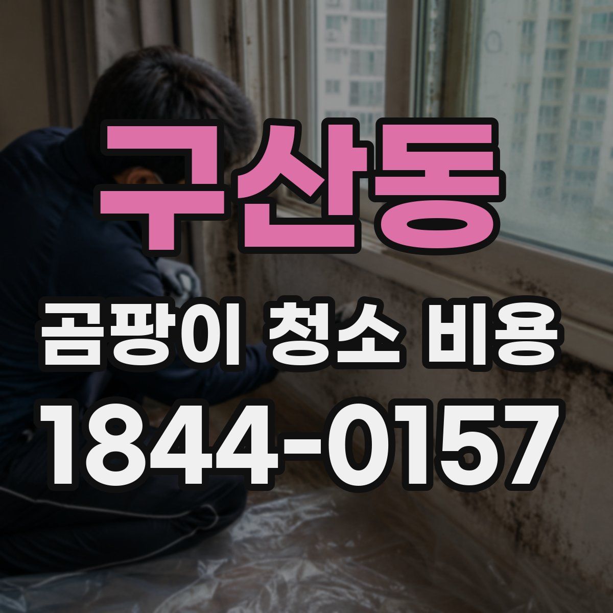 구산동 곰팡이 청소 비용