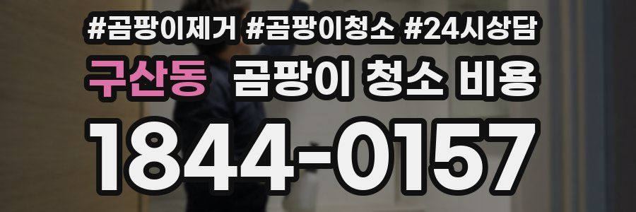 구산동 곰팡이 청소 비용