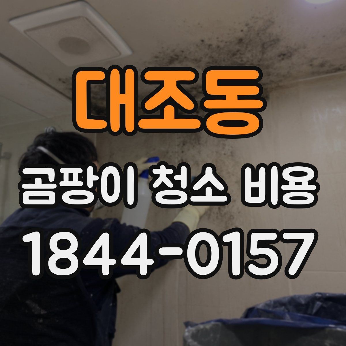 대조동 곰팡이 청소 비용 벽지 뜯음이 포함될 때 견적이 달라지는 이유