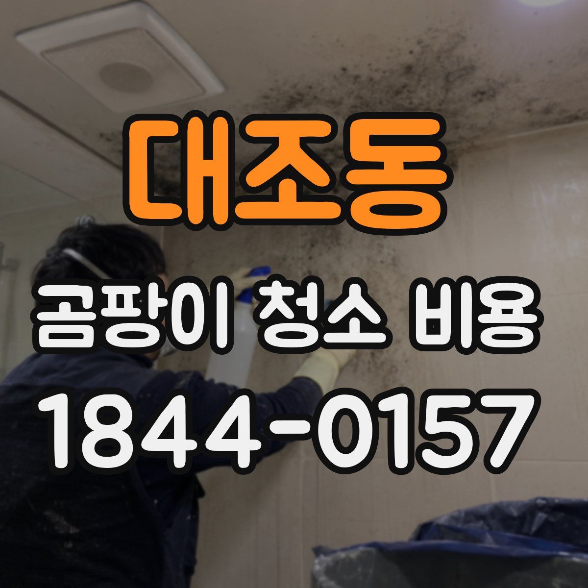 대조동 곰팡이 청소 비용