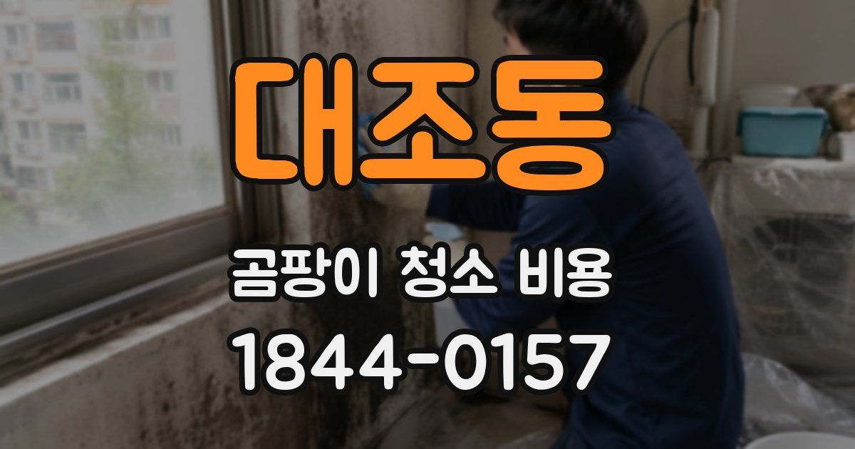 대조동 곰팡이 청소 비용