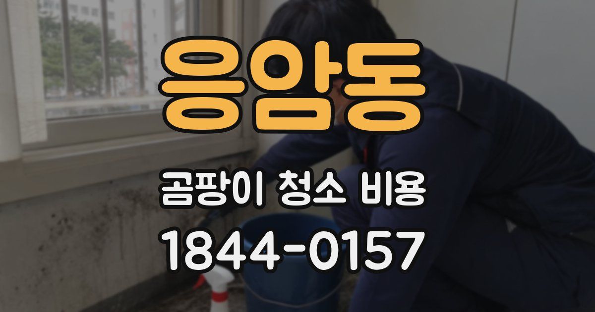 응암동 곰팡이 청소 비용