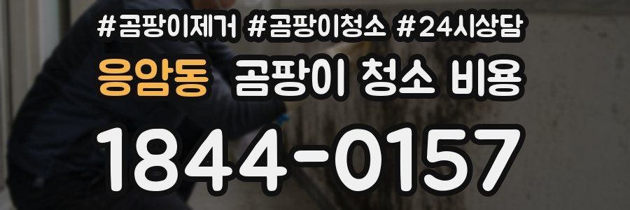 응암동 곰팡이 청소 비용