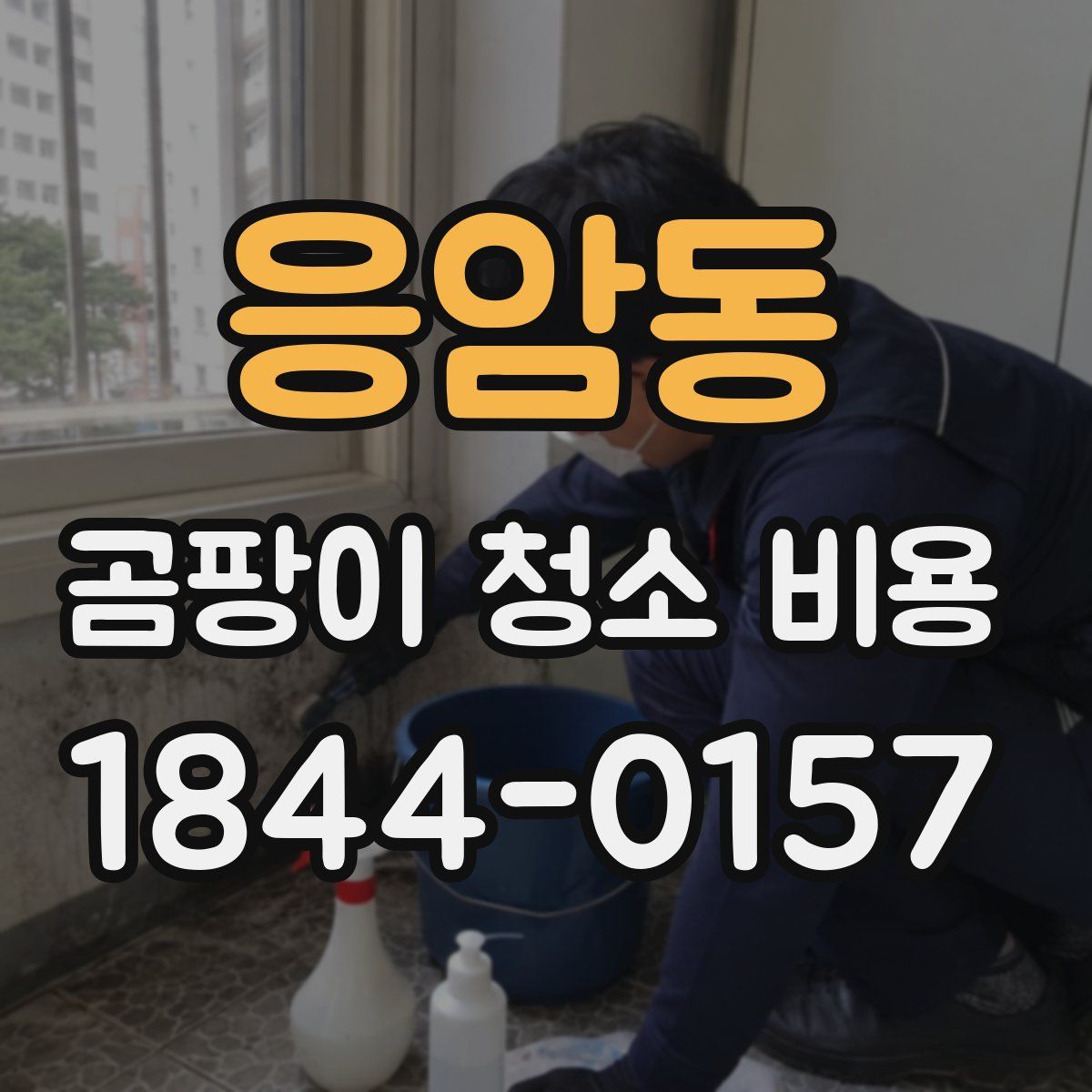 응암동 곰팡이 청소 비용