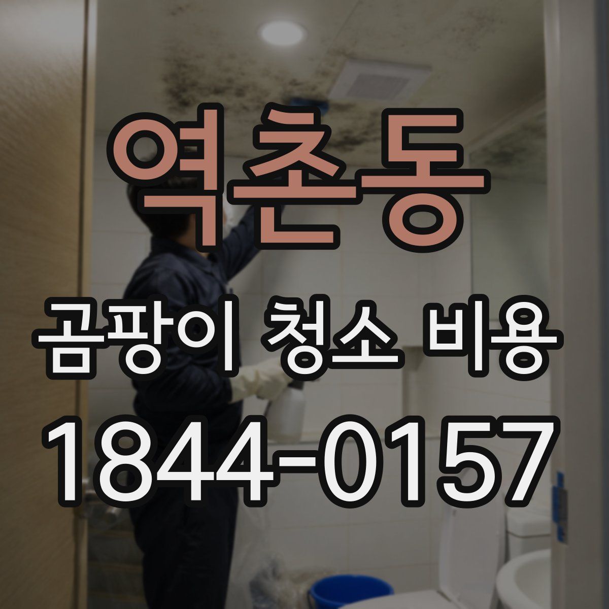 역촌동 곰팡이 청소 비용