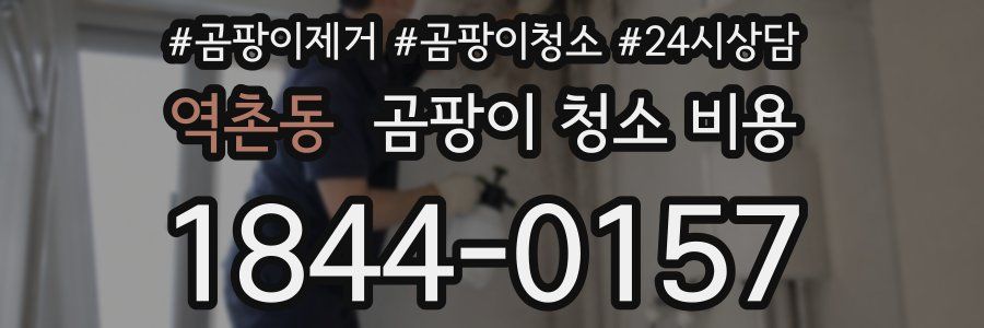 역촌동 곰팡이 청소 비용