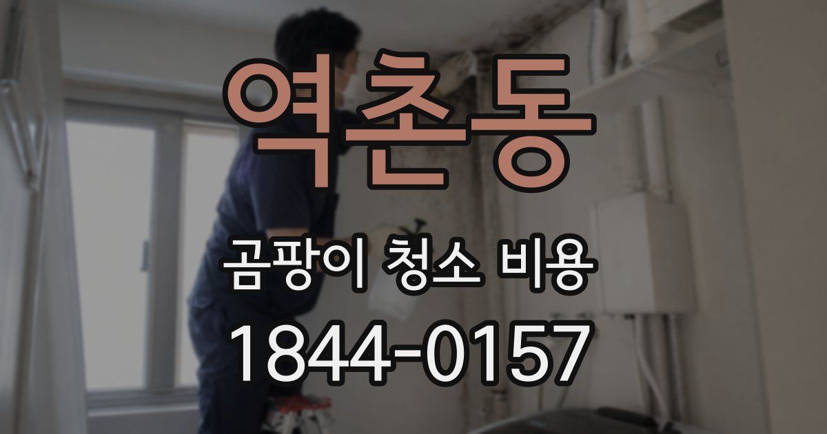 역촌동 곰팡이 청소 비용