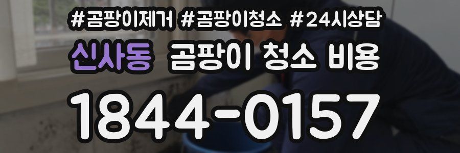 신사동 곰팡이 청소 비용