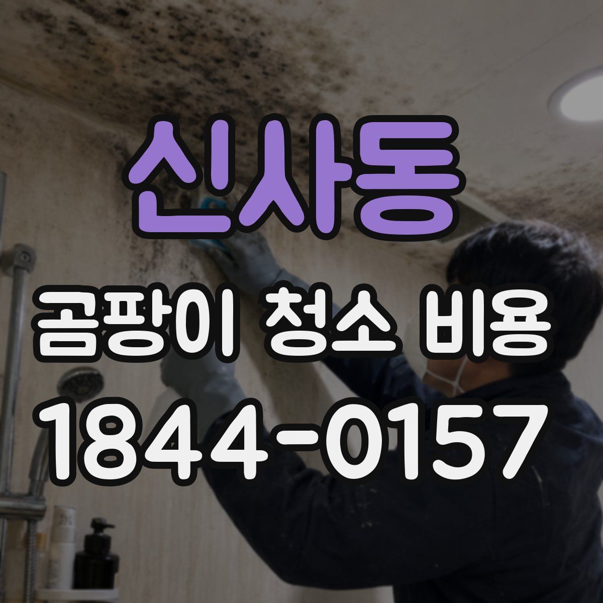 신사동 곰팡이 청소 비용