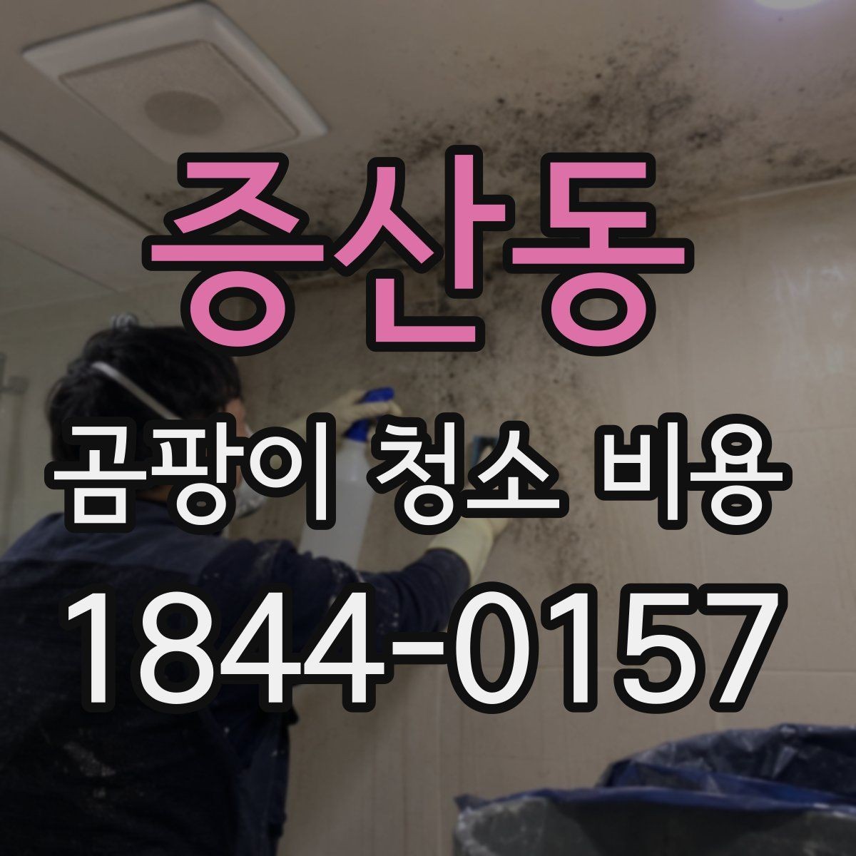 증산동 곰팡이 청소 비용 가정집과 상가 상담 전 확인할 항목