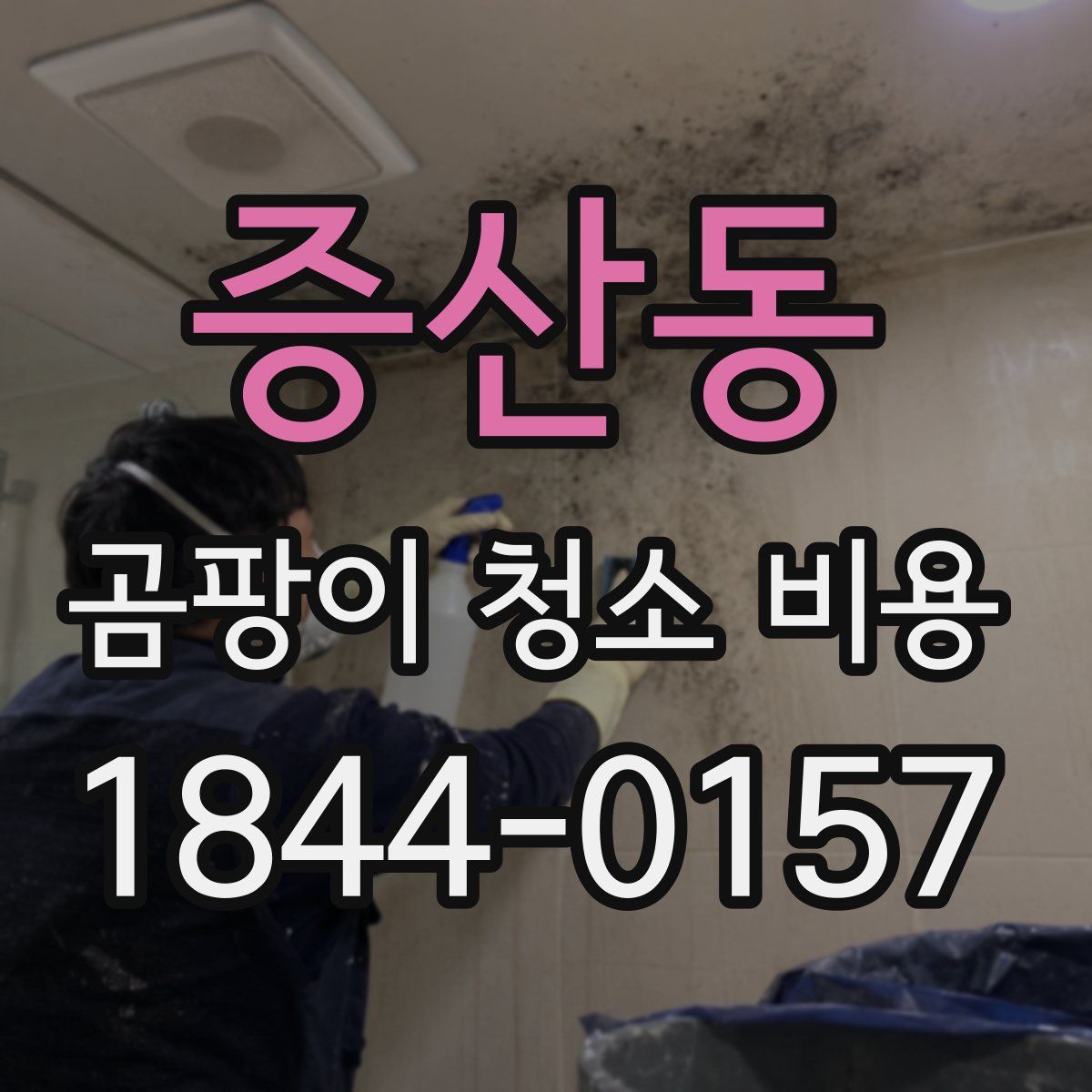증산동 곰팡이 청소 비용