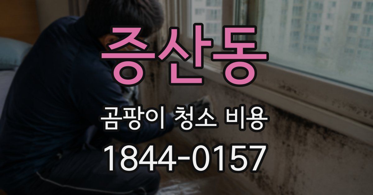 증산동 곰팡이 청소 비용