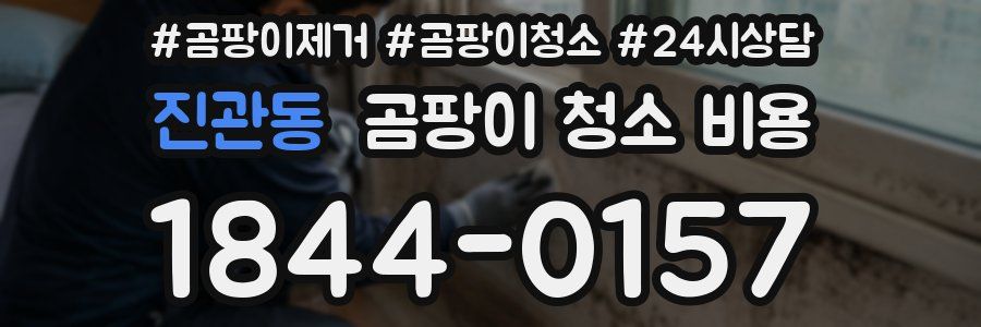 진관동 곰팡이 청소 비용