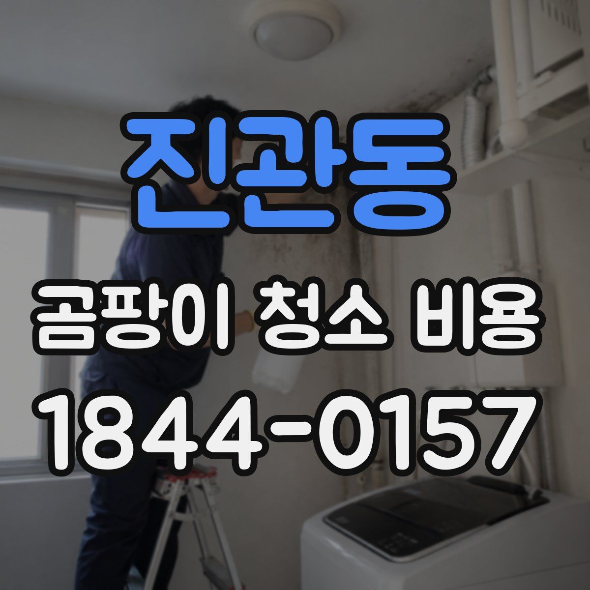진관동 곰팡이 청소 비용